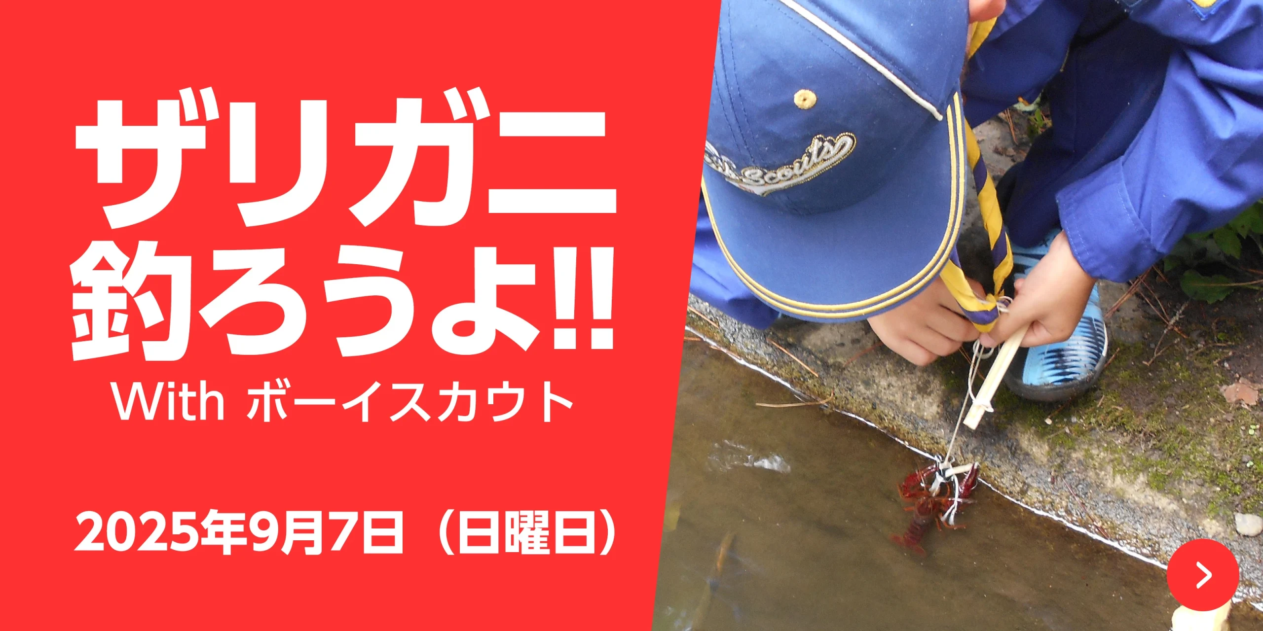 ボーイスカウト ザリガニ釣り